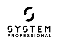 System Professional